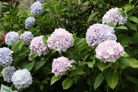 2406 ���� �ݵ� �ݵ��� 16