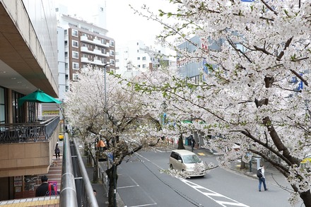 2404���¤κ� 03