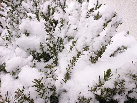 260208��ʿ� 01