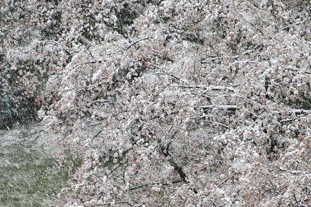 20200329 ���01