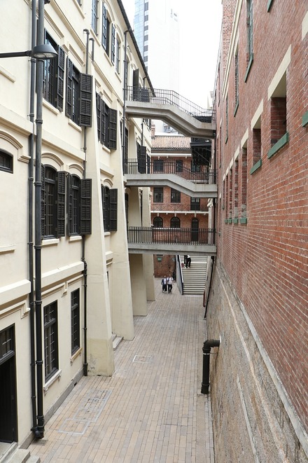 2310 ��� ����� ��� 17