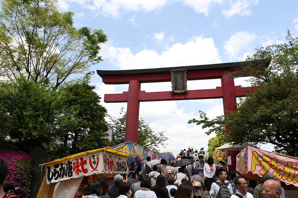 19 05 亀戸 亀戸天神社 藤まつり Vaioちゃんのよもやまブログ