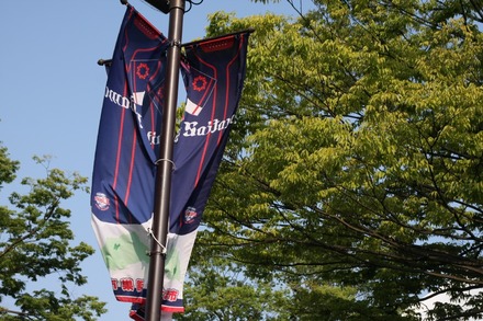 140726 �饤�Х륷�꡼�� �Υܥ�