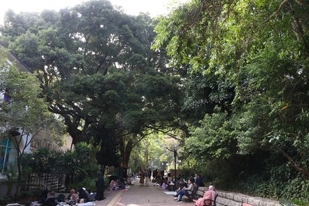 2310 ��� ������ ��ζ���� 02