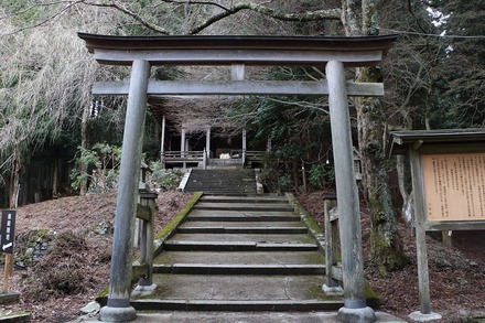 2504 ÆàÎɵÈÌî ¶âÊ÷¿À¼Ò 03