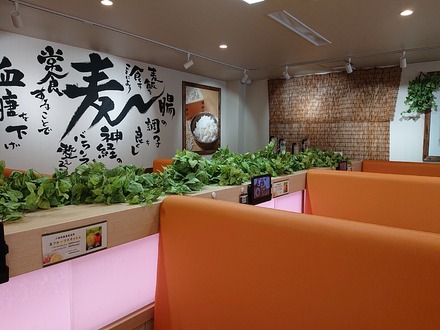 ���������ȥ쥹�ȥ�� ���� �ܾ�����Ź Ź��