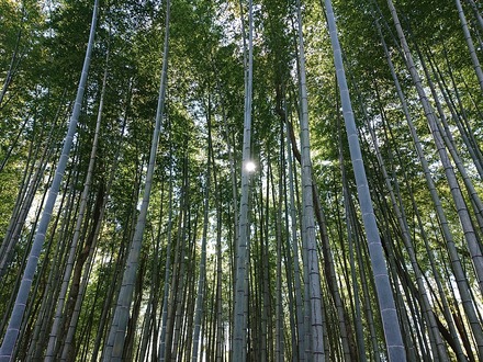 ¸æÅÂ¾ì ¤È¤é¤ä¹©Ë¼ Äí¤ÎÍÍ»Ò 02