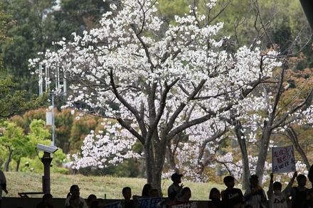 180407 vs����å��� ��ե�¦�κ�