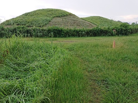 2408 �������޸�ʯ���� 03