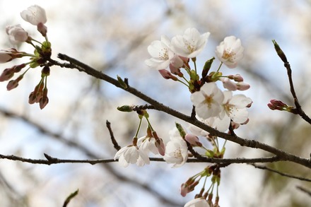 2504 ���ɵ��� �����ܤκ� 07