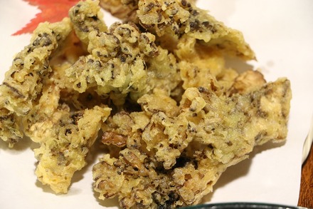 2010 ��ʬ���� ����� ������ ���� �ޤ�������ŷ�פ�