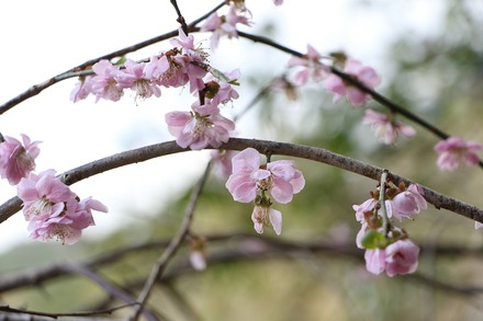 2504 ���ɵ��� ������ 01