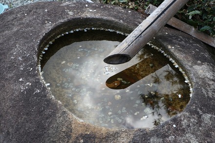 2504 ���ɵ��� �������� 12