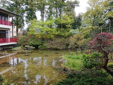 ¸æÅ¾ì ̾ŴºÚ´Û Äí¤ÎÃÓ