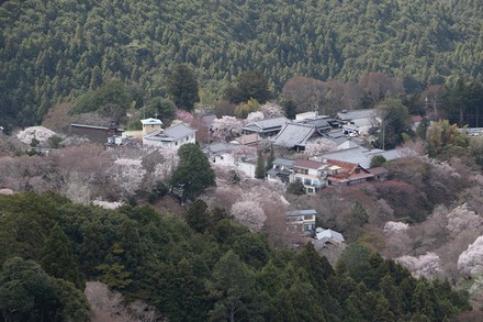 2504 ���ɵ��� ������Ÿ˾�� 05