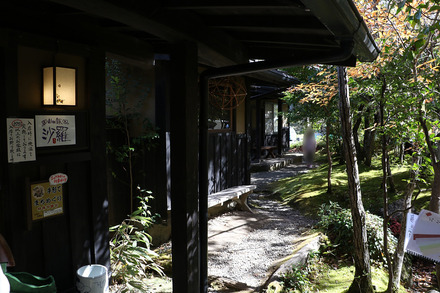 2010 ��ʬ���� ����� ������ ���� ����