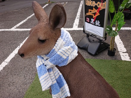 ���ޥץ顼�� ��ζ ���å��󥫡� ���󥬥롼