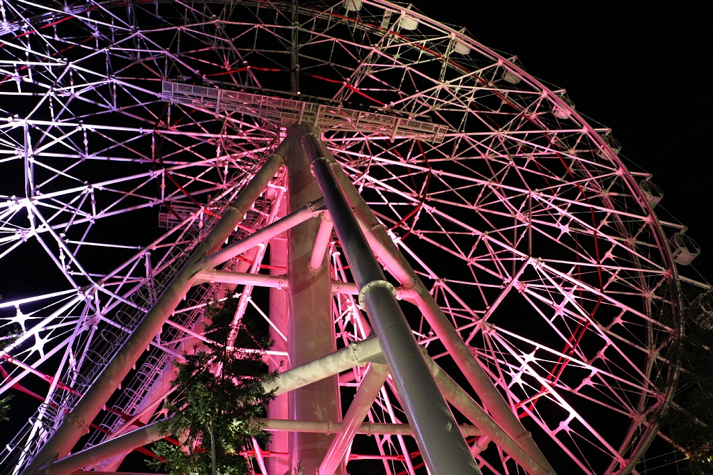 17 12 南紀白浜旅行 その10 アドベンチャーワールド Winter Night Vaioちゃんのよもやまブログ