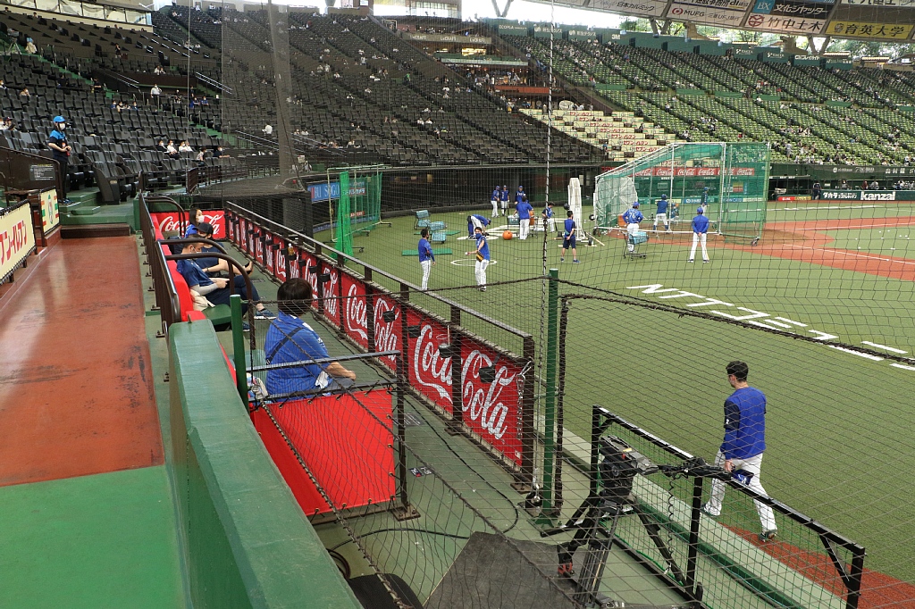 Vaioちゃんのよもやまブログ プロ野球ネタ