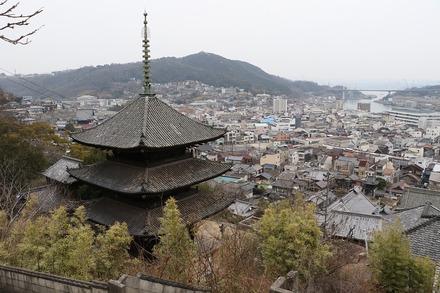 202203���� ��ƻ ǭ�κ�ƻ 01