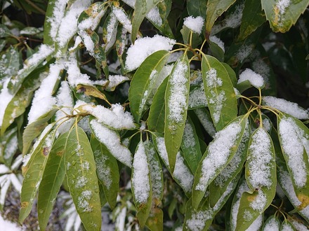 260208��ʿ� 04