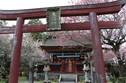 2504 ���ɵ��� �������� 11