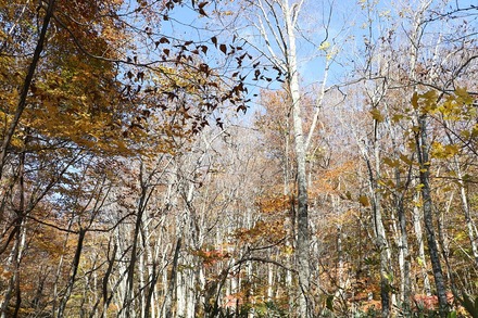 2410 �Ŀ� ������ �վ� 04