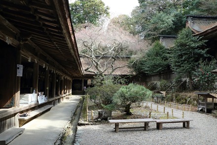 2504 ���ɵ��� �����ʬ���� 04