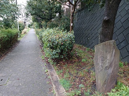 2303 ��ɴ����� ����Τ���ƻ�κ� 05