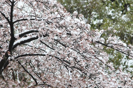 20200329 ��� 05