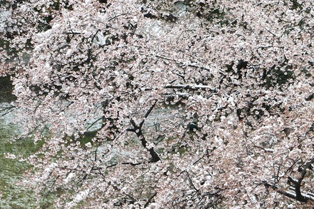 20200329 ��� 03