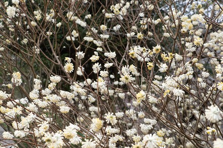 2504 ���ɵ��� ������ 03