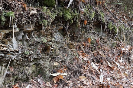 2504 ���ɵ��� �����ܤ���β��� 02