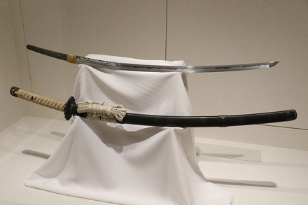 2309 ���� ����� 17