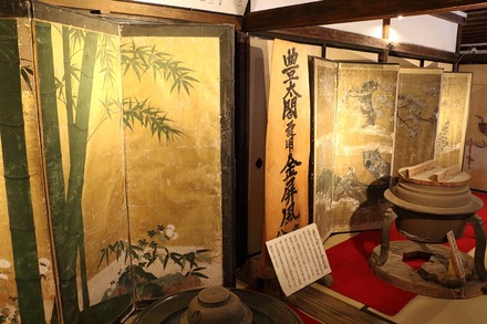 2504 ���ɵ��� �ȿ���� 22