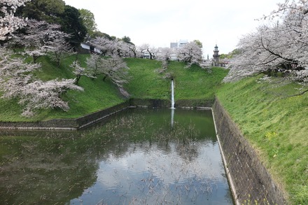 2303 �ĵ����޼�κ� 03