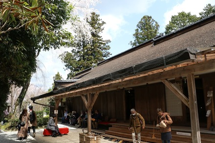 2504 ���ɵ��� �ȿ���� 31