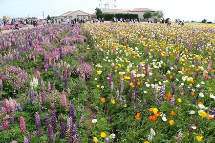 2304 ���쥤��ε� 05