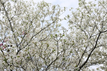 140419 �ֿ���03