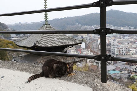 202203���� ��ƻ ǭ�κ�ƻ 03