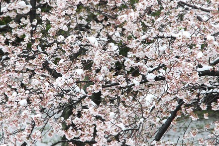 20200329 ��� 04