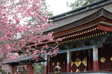 2504 ���ɵ��� �������� 08