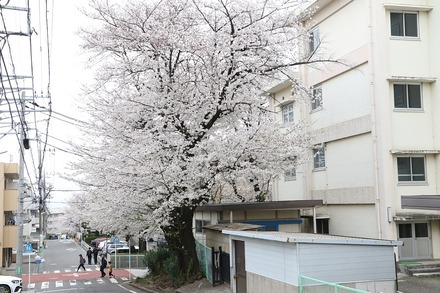 2404����ʿ�κ� 08