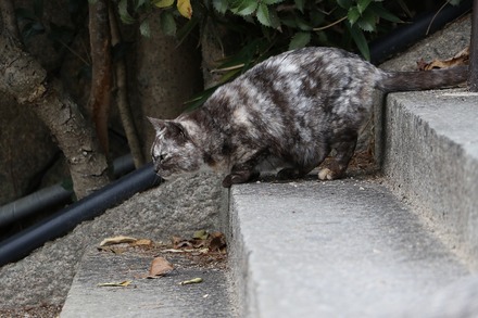 202203���� ��ƻ ǭ�κ�ƻ 02