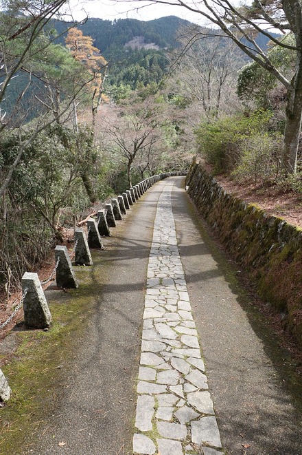 2504 ���ɵ��� ��뻳Ÿ˾�� 02