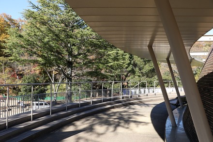 2412 ��� �������� ���蘆����ʤ���ˤ��Фβʳش� 11