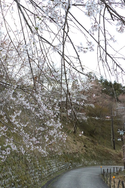 2504 ���ɵ��� ������ 08