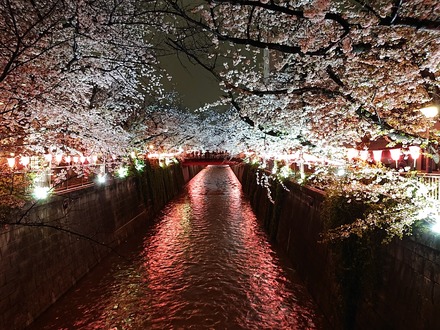 2303 �ܹ�����ޤĤ� 04