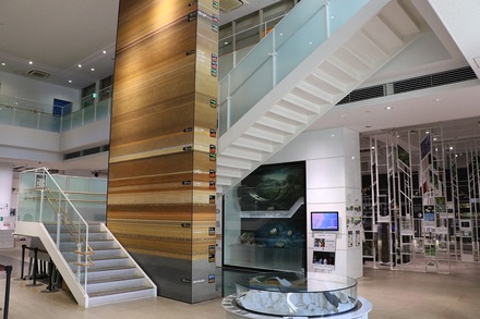 2412 ��� �������� ���蘆����ʤ���ˤ��Фβʳش� 02