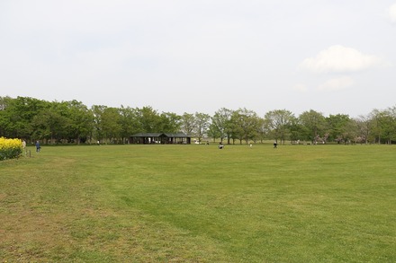 2305���� ɴ�礬������ 06